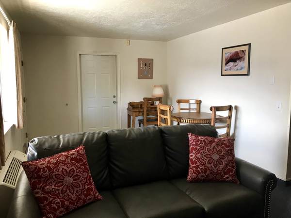 Efficiency Apartment Non Smoking Photo 3